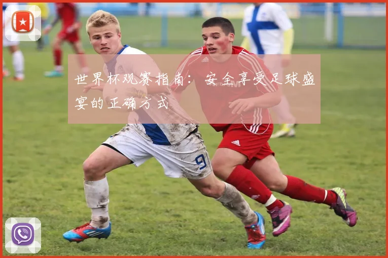 世界杯观赛指南：安全享受足球盛宴的正确方式