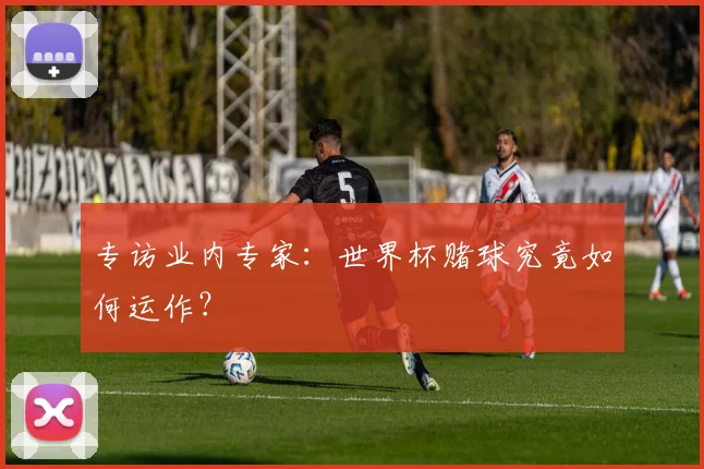专访业内专家：世界杯赌球究竟如何运作？
