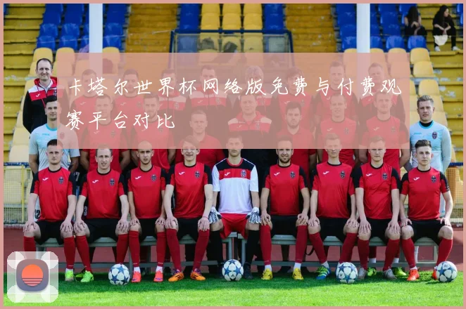 卡塔尔世界杯网络版免费与付费观赛平台对比