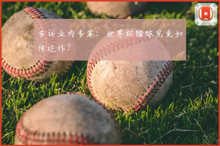 专访业内专家：世界杯赌球究竟如何运作？